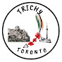 Trichy To Toronto - Vaishoo's Vlogs