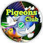 Pigeons Club