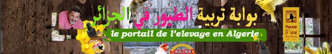 Mouloud D'wa مولود دواء