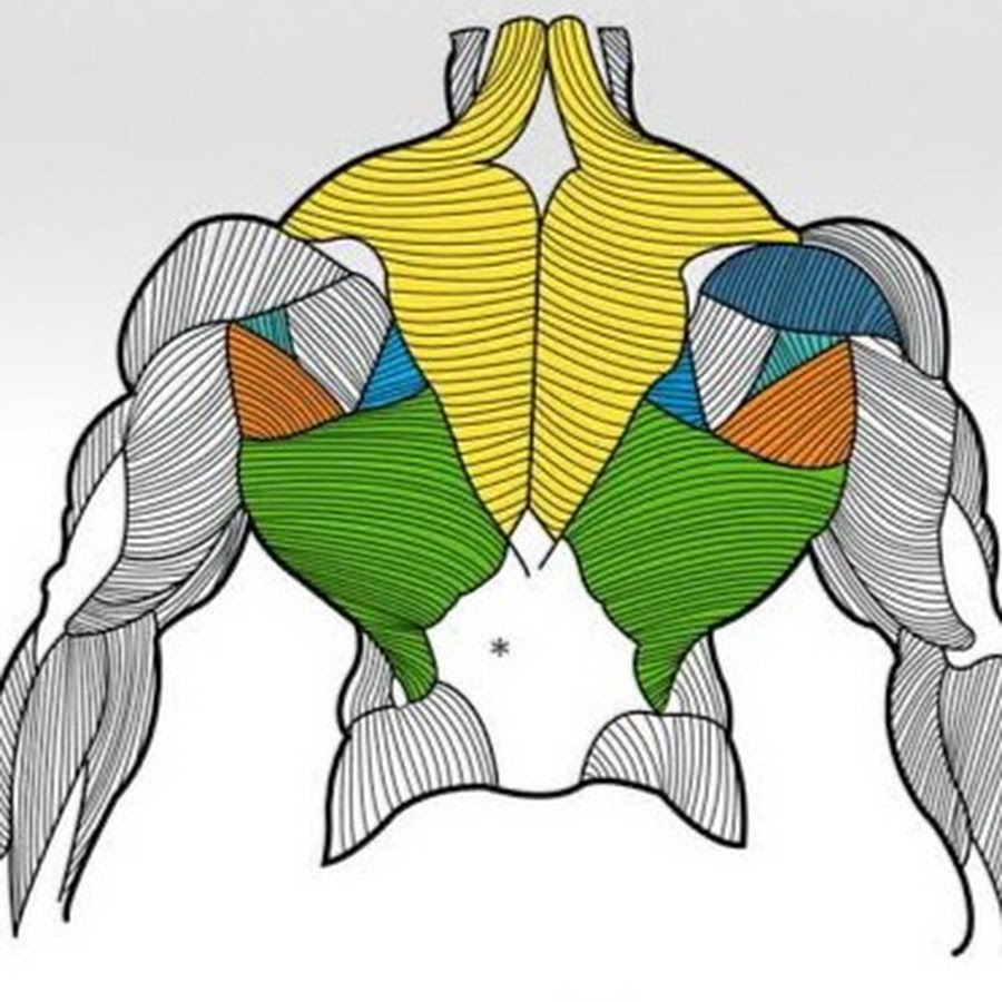 Дельты мышцы. Back Rhomboids. Large Cross covering Upper and Middle back; Celtic Triangle Knot on lower back; left Shoulder Blade. Dee Wlimas.