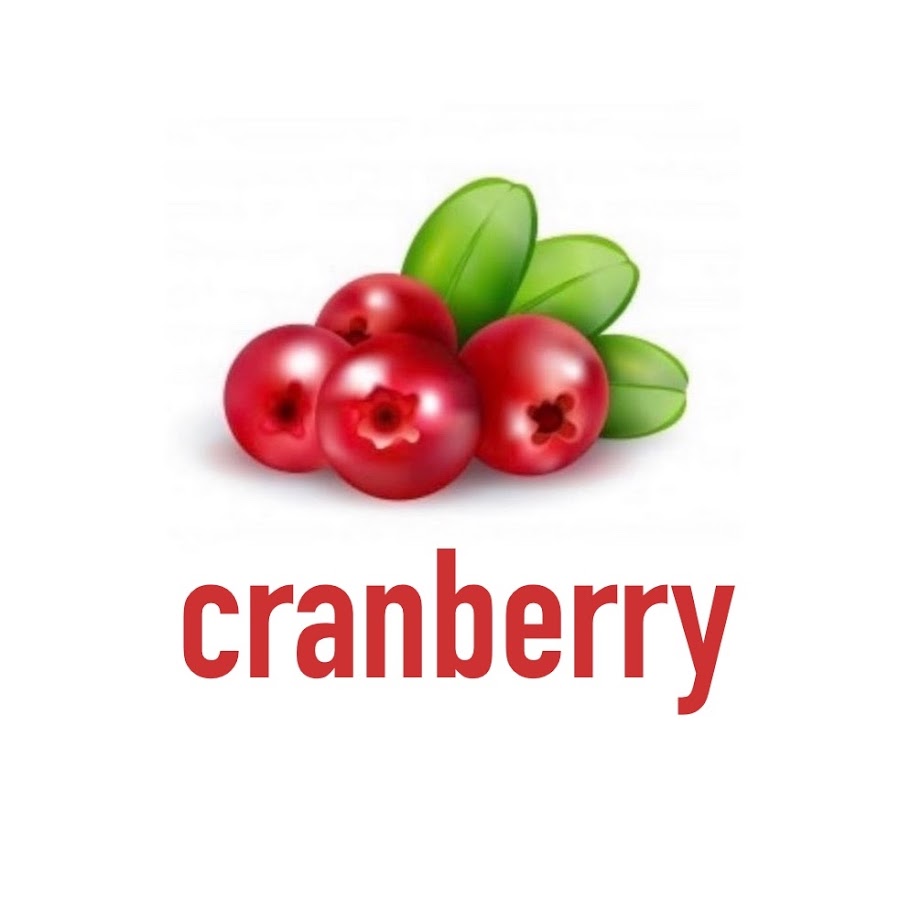 cranberry - YouTube