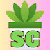 Succulents Channel