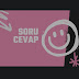 soru cevap