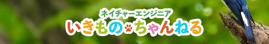 ネイチャーエンジニアいきものちゃんねる