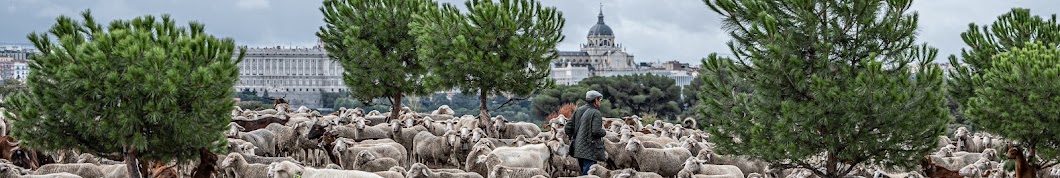 Asociación Trashumancia y Naturaleza