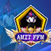 logo AMIT FFM