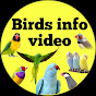 Birds info video