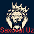 logo SAXOVAT_UZ