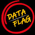 logo Data Flag