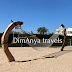 DimAnya travels