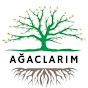 Ağaclar və Güllər