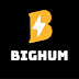 bighum com