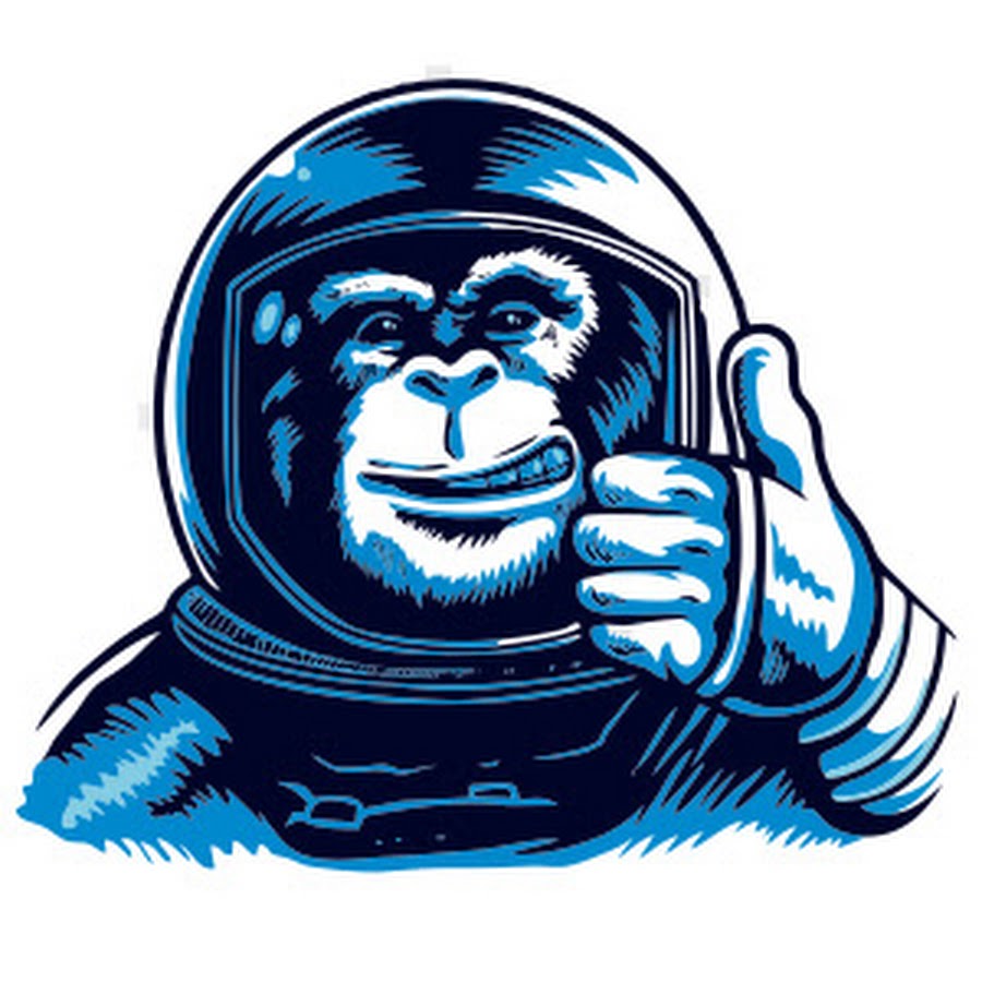 Космические обезьяны. Космическая обезьяна. Обезьяна космонавт. Обезьяны в космосе. Советские обезьяны в космосе.