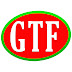 logo GlobalTechFix