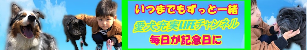 犬のしつけチャンネル 愛犬充実生活 いぬの学校あさか