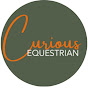 Curious Equestrian