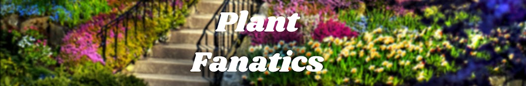 Plant Fanatics