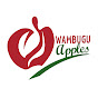 Wambugu Apples Empire