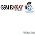 logo GSM EMKAY