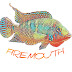 Firemouth Aquaristic