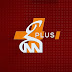 GNN Plus