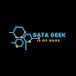 Data Geek