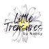 logo Little Treasures by Nancy