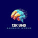 12K UHD ANIMALS