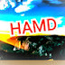 HAMD_GAMING