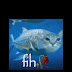 logo Vexvore