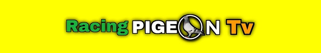 Racing Pigeon Tv Banner