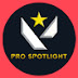 Valorant Pro Spotlight 