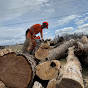 Branch Brothers Tree Service 