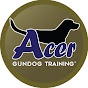 Acer Gundog Training