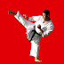 logo SportsandMartialArts. com