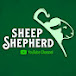 Sheep shepherd