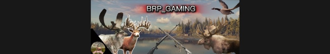 BRP Gaming