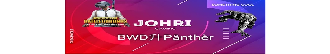 Johri Gaming