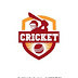 logo Cricket Hub