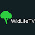 WildLifeTV