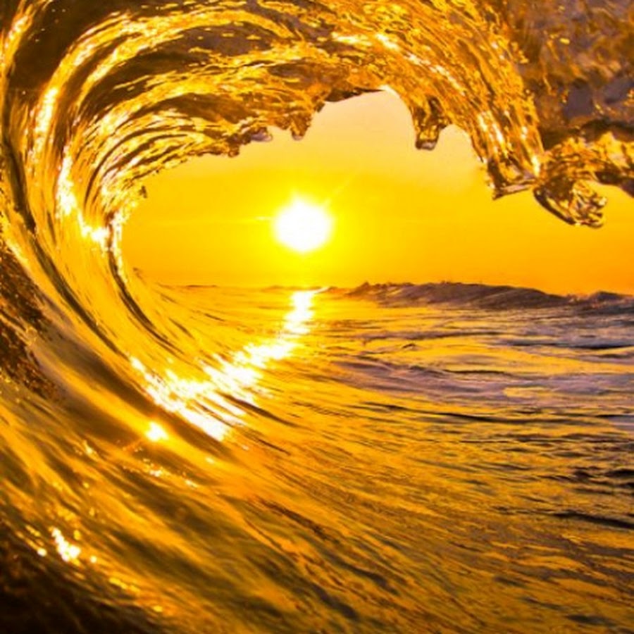 Ярче солнца когда выйдет. Красивое солнце. Золотая волна. Волна и солнце. Золотистый закат.
