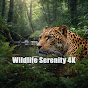 Wildlife Serenity 4K