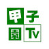 甲子園TV