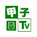 甲子園TV / Koshien TV