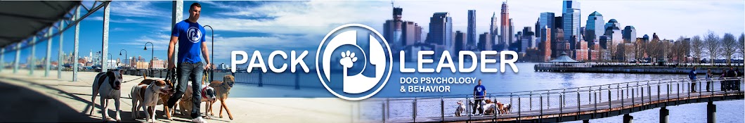 Pack Leader Dogs Banner