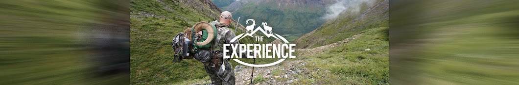 The Experience Banner
