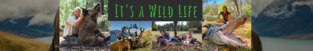 It's A Wild Life