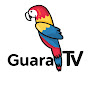 GuaraTV HN