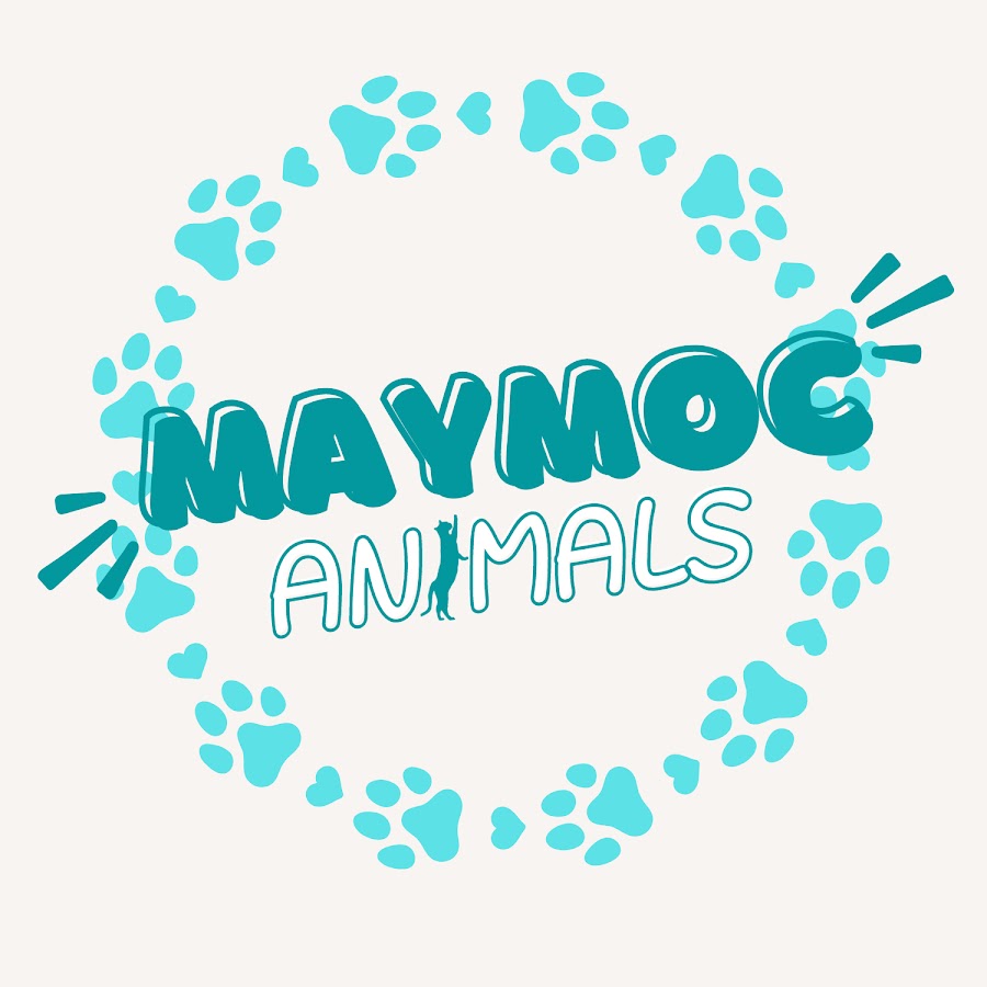 Maymoc Animals