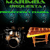 Marimba orquesta Proyección y cumbia.